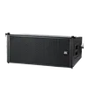DBK Dual 10 Inch Line Array Speaker
